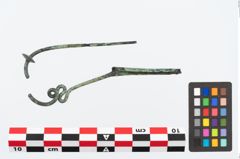 Foto von Bronzeschlangenfibel (NHMW-PRAE-026559)